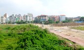 Hà Nội bêu tên hơn nhóm doanh nghiệp nợ 536 tỷ đồng thuế