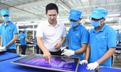 Nhập nhèm hàng 'Made in Việt Nam' đến bao giờ?