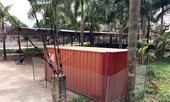 Bao giờ bán đấu giá cây sưa 'trăm tỷ' ở Hà Nội?