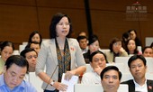 'Dường như Trung ương vẫn cố vươn tay xuống địa phương'