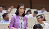 Kỷ luật cán bộ: 'Từ cảnh cáo chuyển sang ngay cách chức thì nặng quá'