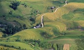 Mù Cang Chải sẽ được quy hoạch thành 'Sapa thứ 2'