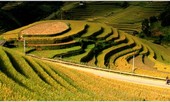 Tháng 9, lên Mù Cang Chải nhảy dù ngắm ruộng bậc thang