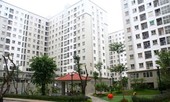 Công dân Thủ đô ưu tú được ưu tiên thuê, mua nhà ở xã hội