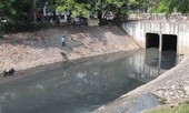 Dừng thí điểm công nghệ Nhật, Hà Nội tính cứu sông Tô Lịch bằng nước sông Hồng