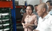 TPHCM kiểm soát gắt gao thịt đông lạnh