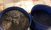 Tổng lực kiểm tra thực phẩm bẩn tết