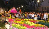 'Hoa đồng gió nội' về hội chợ hoa xuân Phú Mỹ Hưng