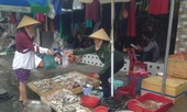 Mùng 4 Tết: Siêu thị vắng hoe, hải sản 'chợ cóc' tăng giá gấp đôi