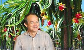 Bầu Đức sắp 'dứt tình' với bất động sản