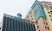 Tập đoàn Đại Dương muốn bãi nhiệm anh trai ông Hà Văn Thắm