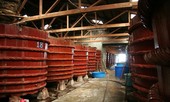 Nước mắm truyền thống Phú Quốc khó xuất khẩu vào Mỹ?