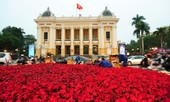 Hoa Đà Lạt trang hoàng Hà Nội đón Hội nghị thượng đỉnh Mỹ - Triều
