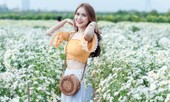 Thiếu nữ Hà thành khoe sắc bên vườn cúc họa mi