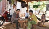 Sở GTVT Gia Lai báo cáo vụ hàng chục người ra Hải Phòng thi bằng lái
