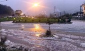 Mưa đá rơi trắng đường ở Sapa
