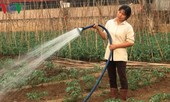 Nắng nóng kỷ lục ở Sơn La: Rau quả héo queo, người dân lo sốc nhiệt