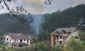 Hồ nước đẹp nhất Đà Lạt bị 'băm nát': Mới chỉ kiểm điểm, rút kinh nghiệm