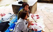 Ba thiếu nữ 'mất tích' được tìm thấy trong công viên ở Đà Lạt