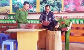 “Cò” đặc sản Đà Lạt tái xuất vào mùa du lịch hè