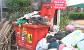 Chất thải độc hại ùn ứ trong hàng trăm thùng rác trên đường phố Đà Lạt