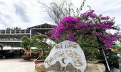 Lấn chiếm 'rừng tình' Đà Lạt làm nhà hàng hoành tráng