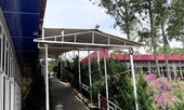 Ngó lơ công trình vi phạm 'Đỉnh Đồi Trăng', nhiều cán bộ bị kỷ luật