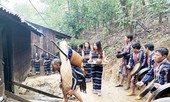 Sơn nữ K Ho 'bắt chồng' lúc nửa đêm