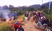 Nhầm tưởng sâm quý Ngọc Linh, dòng người đổ vào vườn quốc gia săn lùng