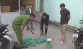 Liên tiếp phát hiện các vụ mua bán động vật hoang dã