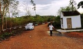 Vụ gỗ lậu Phượng 'râu': Khởi tố thêm trạm trưởng bảo vệ rừng