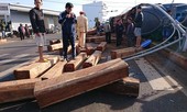 Container chở đầy gỗ đè bẹp xe bán tải trên đường