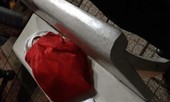 Bé gái sơ sinh bị mẹ bỏ rơi trên ghế đá giữa đêm khuya