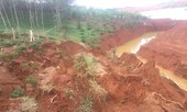 Đắk Nông: Sụt lún đất kinh hoàng 'nuốt trọn' hàng ngàn mét vuông cà phê