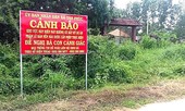 Bộ Xây dựng chỉ đạo xử lý nghiêm các doanh nghiệp kiểu Alibaba