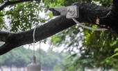 Lắp thêm 'mắt thần' theo dõi sau vụ cá Koi trên sông Tô Lịch đột ngột chết