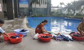 Thiếu nước sông Đà, dân chung cư Hà Nội ra bể bơi giặt giũ