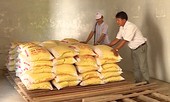 Bị cô lập suốt 2 tuần, người dân đảo Bé được cứu đói khẩn cấp