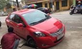 Trồng cây phản cảm, nhổ đi lại thành 'bẫy' trên đường