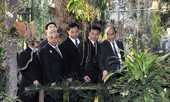 'Báu vật' đại ngàn được trưng bày tại Hà Nội