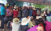 Xem hàng xóm bắn gà, bé trai 14 tuổi tử vong vì đạn găm trúng ngực