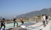 Xây dựng trái phép, 45 ngôi nhà ở Nha Trang bị giải tỏa