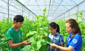 Níu giữ thanh niên 'bất ly hương' - cách nào?