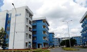 Sống tạm cạnh nghìn căn hộ… bỏ hoang ở TPHCM