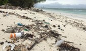 Hòn đảo ngoài khơi xa Australia đón nhận... 414 triệu mảnh rác thải nhựa