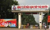 Dự án Gang thép Thái Nguyên: Hàng nghìn tỷ vào túi ai?