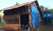 Vụ tài xế 'đuổi' sản phụ xuống giữa đường: Gia đình chấp nhận lời xin lỗi
