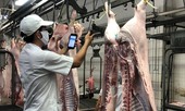 Người dân được khuyên sử dụng thịt lợn đông lạnh