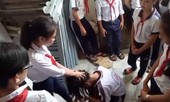 Bạo lực học đường có xu hướng lan rộng, vì sao?