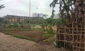 Lập dự án xây trường rồi bỏ đất trống